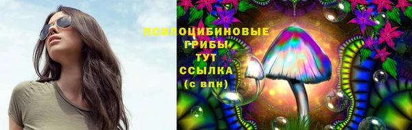 Альфа ПВП Баксан