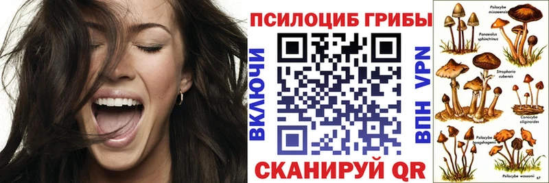 Галлюциногенные грибы Cubensis  где найти наркотики  Белово 